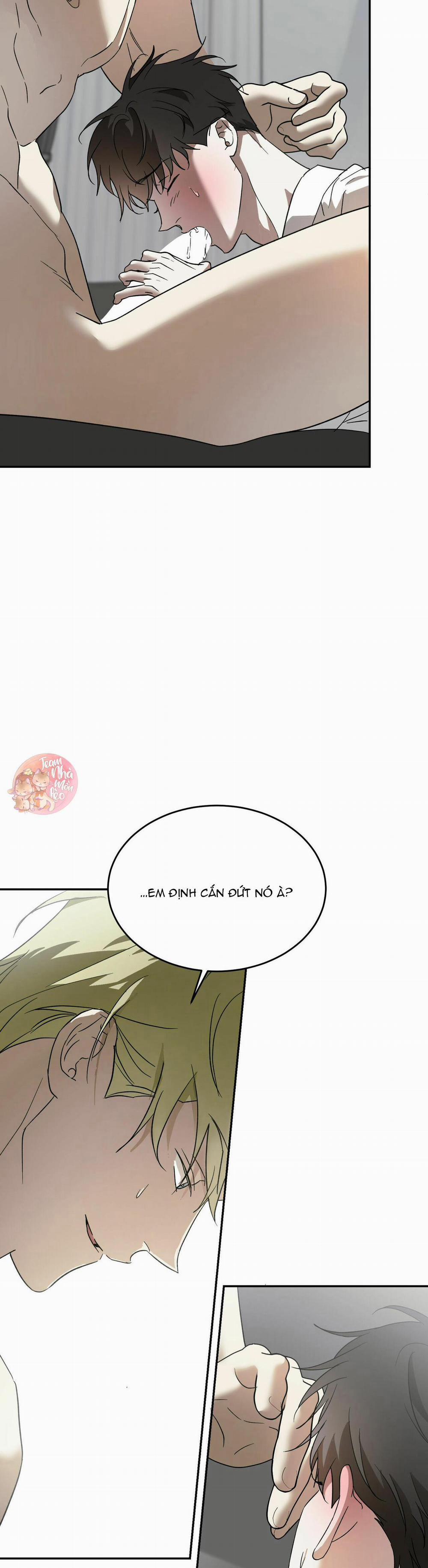 Cấp Trên 40 trang 22