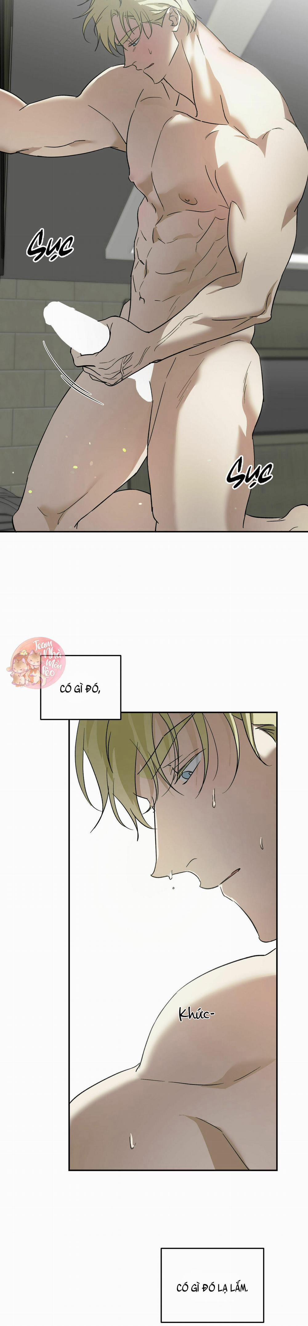 Cấp Trên 40 trang 25