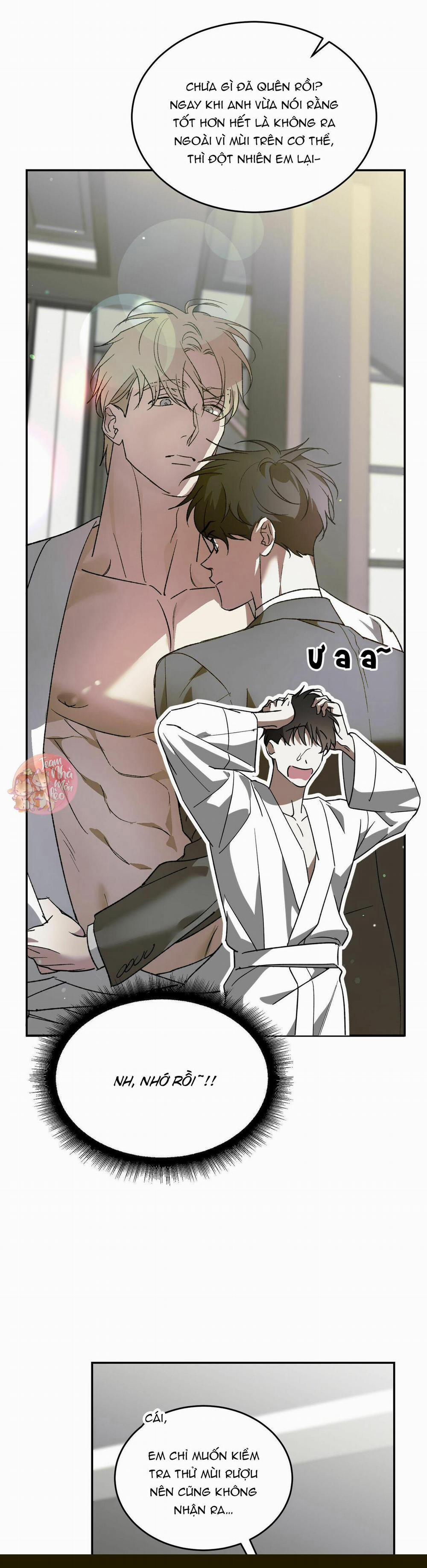 Cấp Trên 40 trang 4