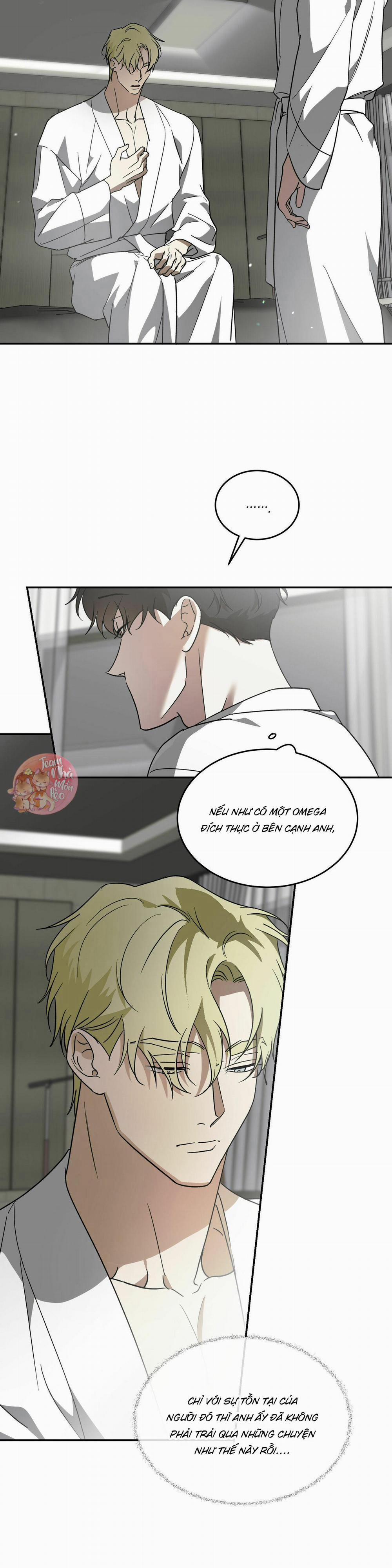 Cấp Trên 40 trang 6