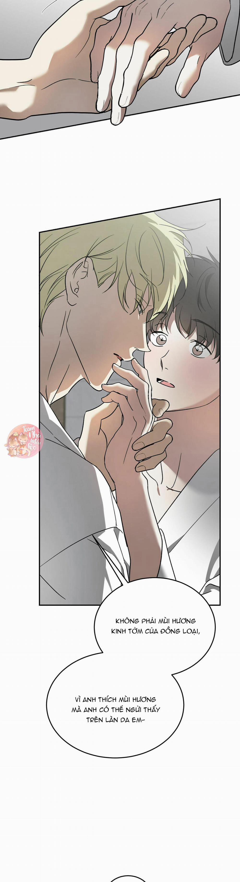 Cấp Trên 40 trang 8