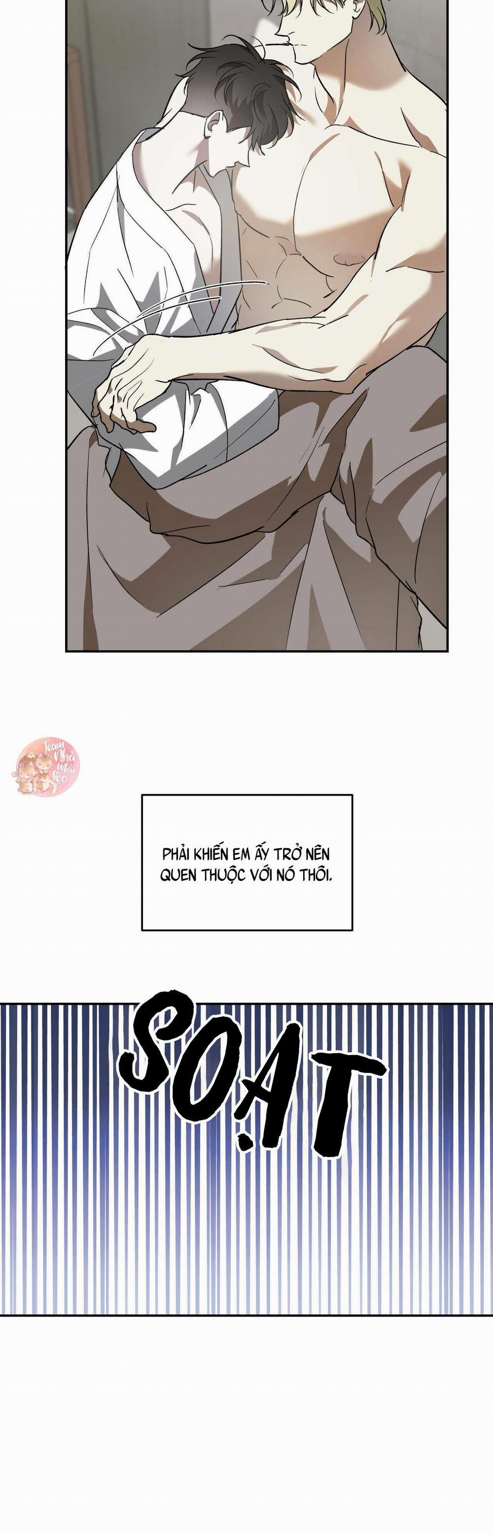 Cấp Trên 41 trang 12