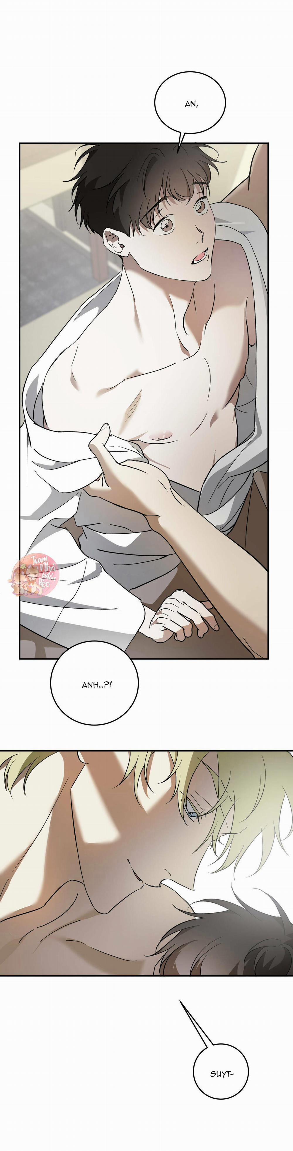 Cấp Trên 41 trang 13