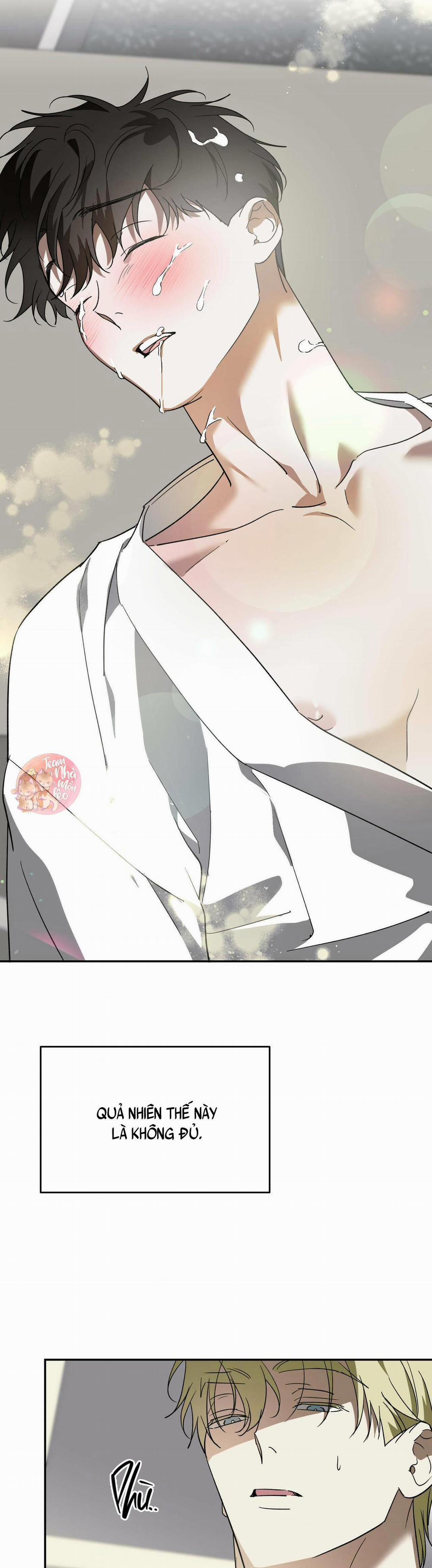 Cấp Trên 41 trang 2