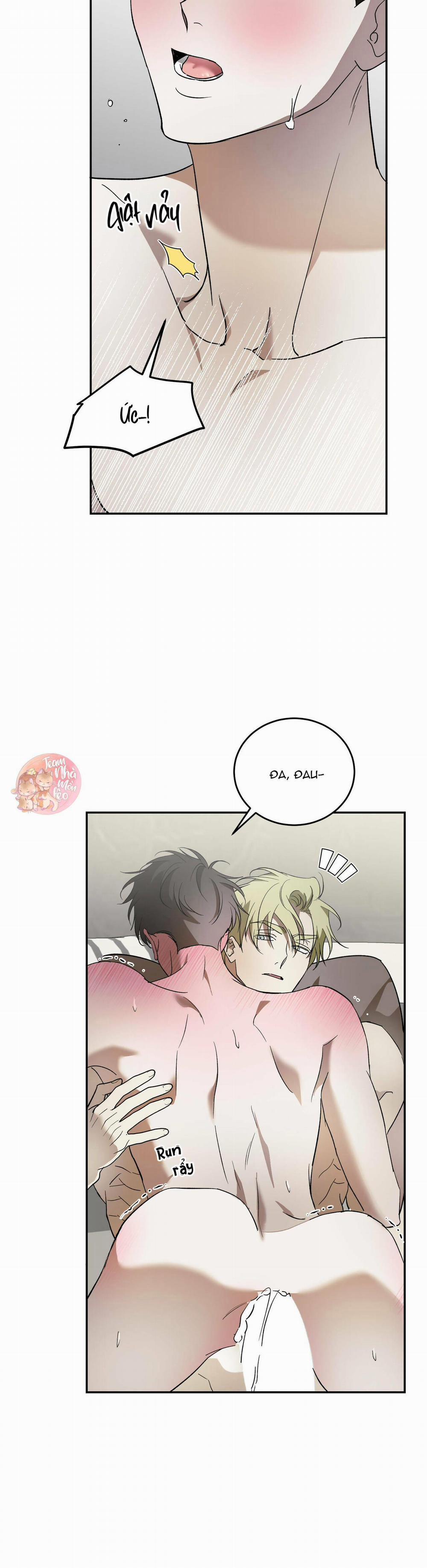 Cấp Trên 41 trang 21