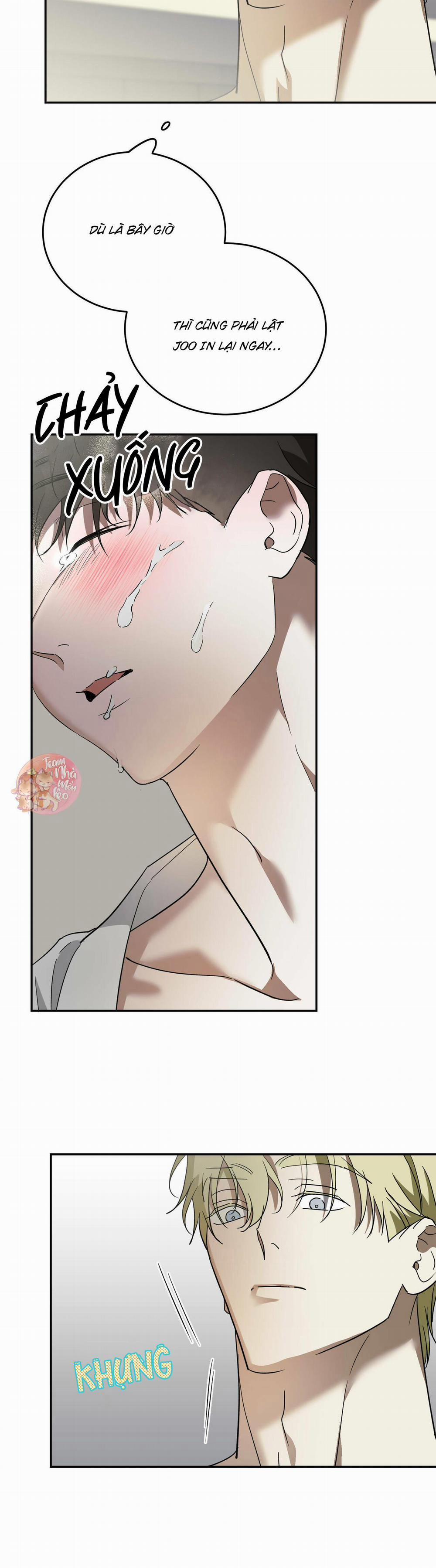 Cấp Trên 41 trang 3