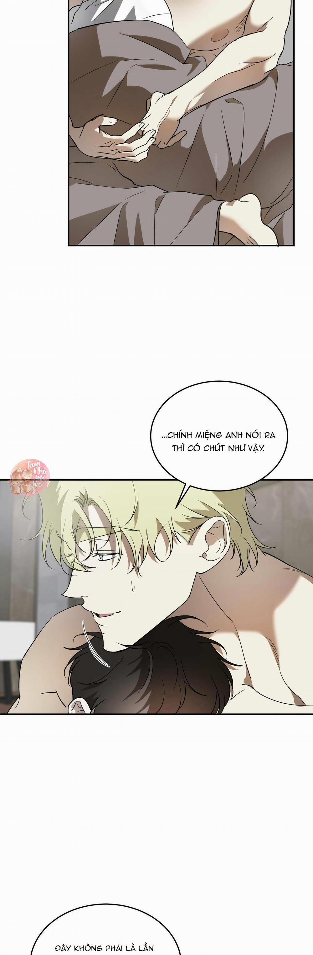 Cấp Trên 41 trang 8