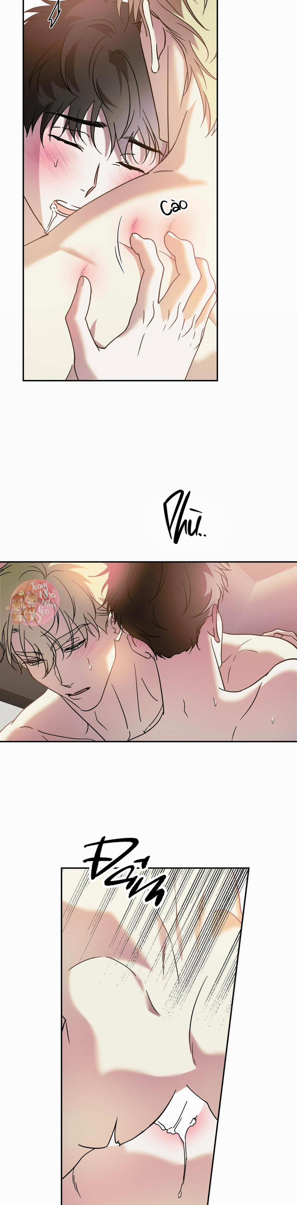 Cấp Trên 42 trang 10