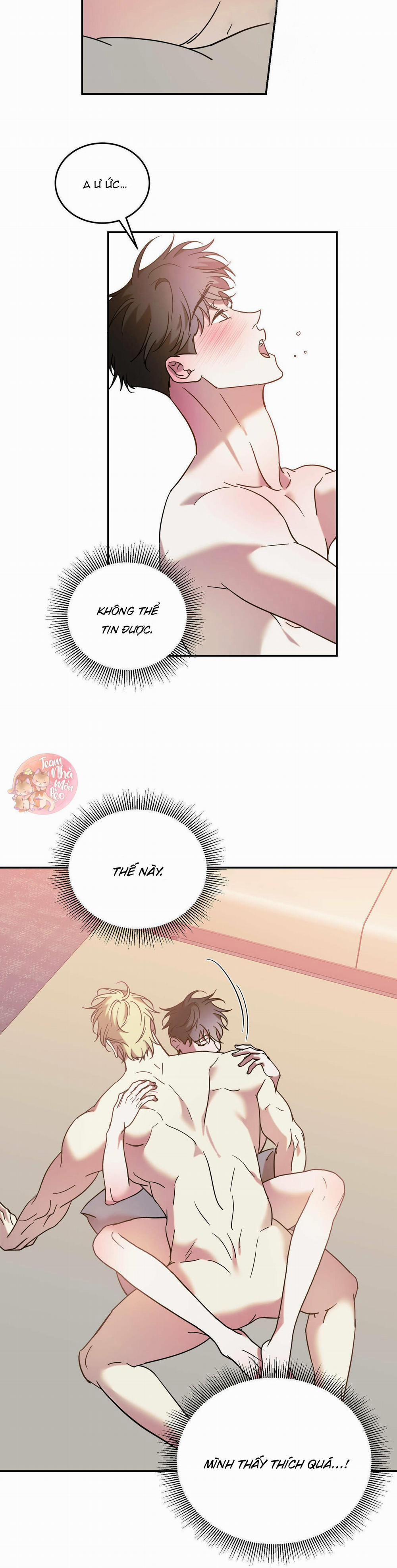 Cấp Trên 42 trang 11