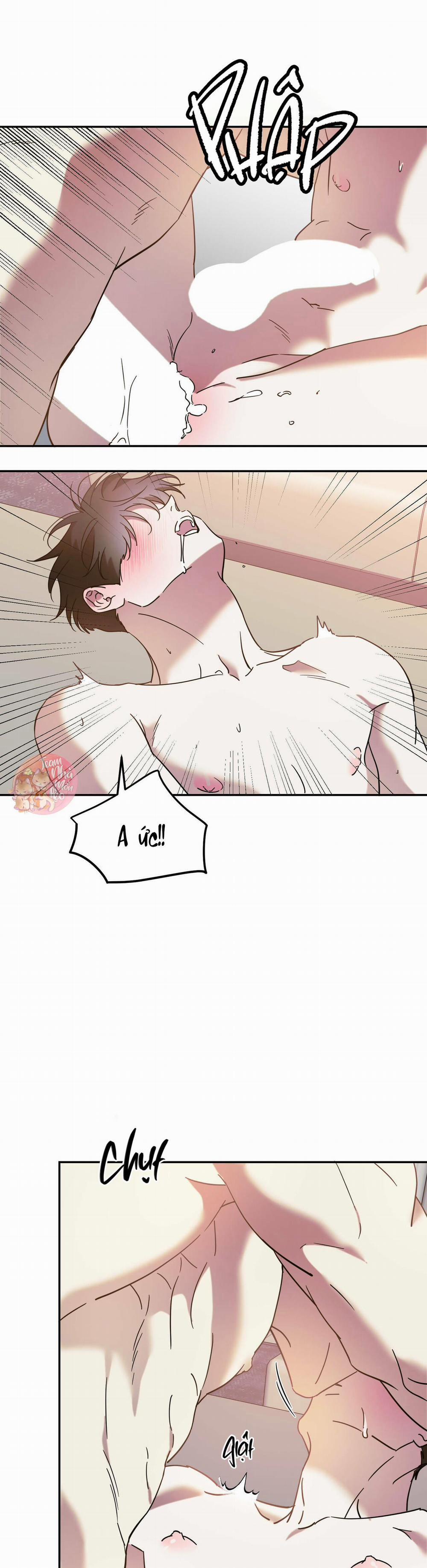 Cấp Trên 42 trang 13