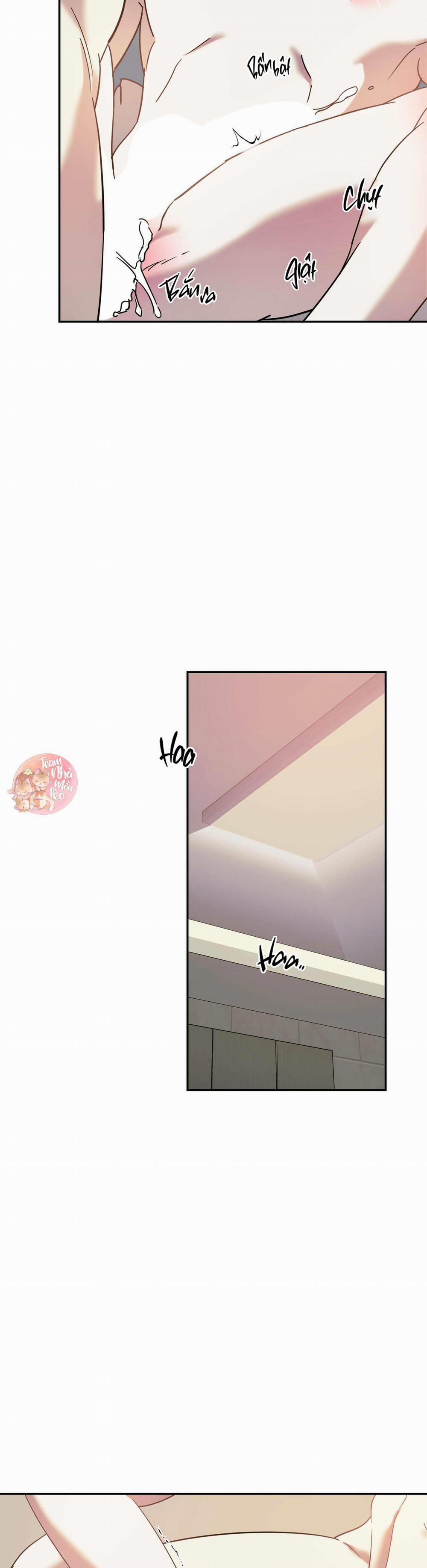 Cấp Trên 42 trang 14