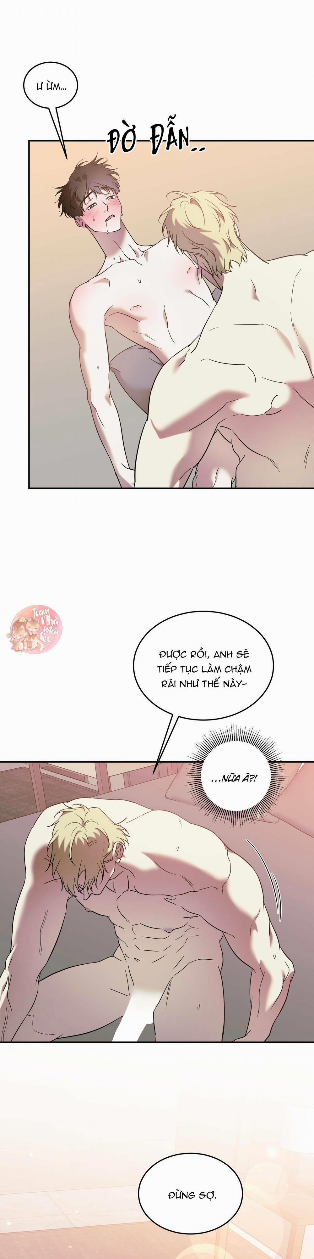 Cấp Trên 42 trang 16