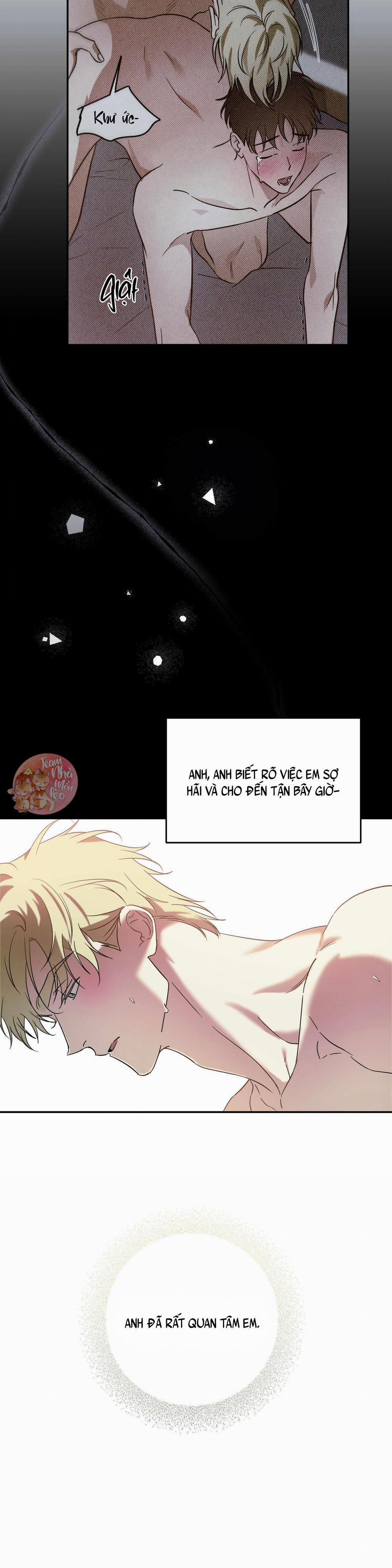 Cấp Trên 42 trang 19