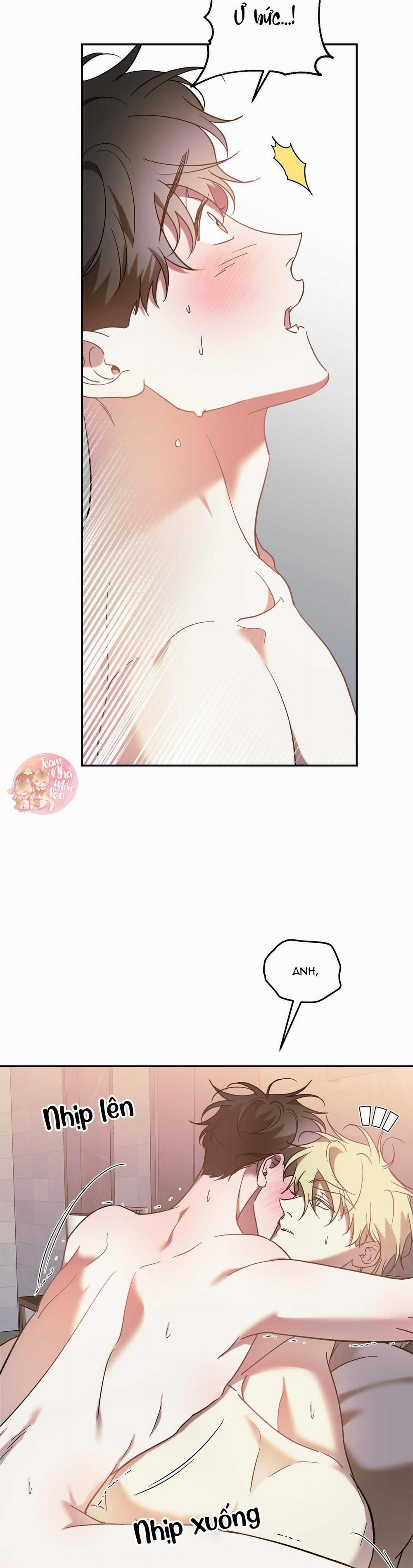 Cấp Trên 42 trang 3