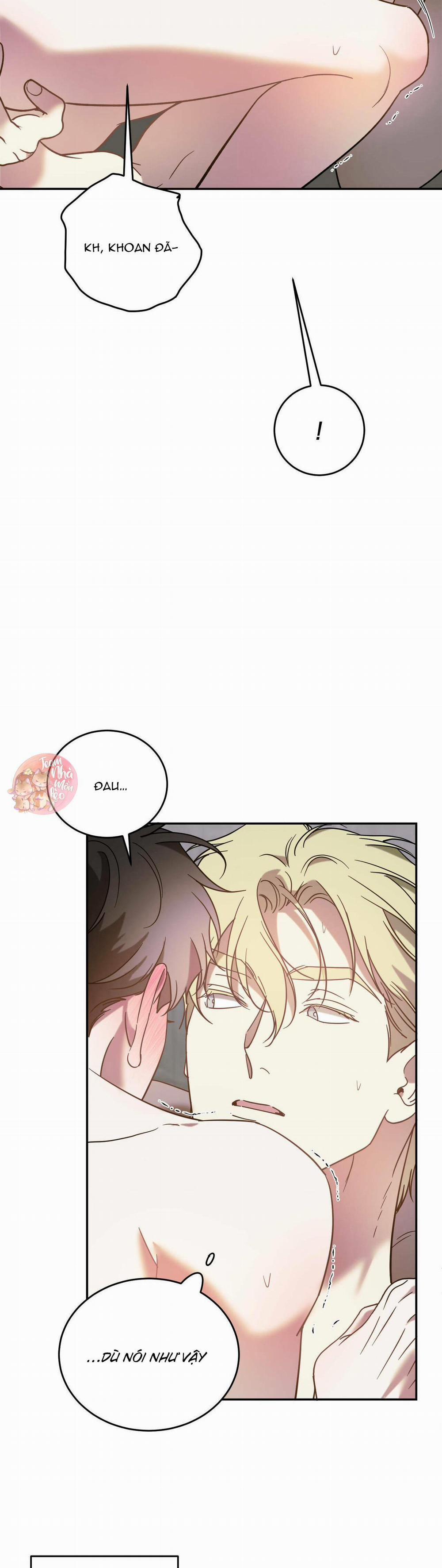 Cấp Trên 42 trang 4