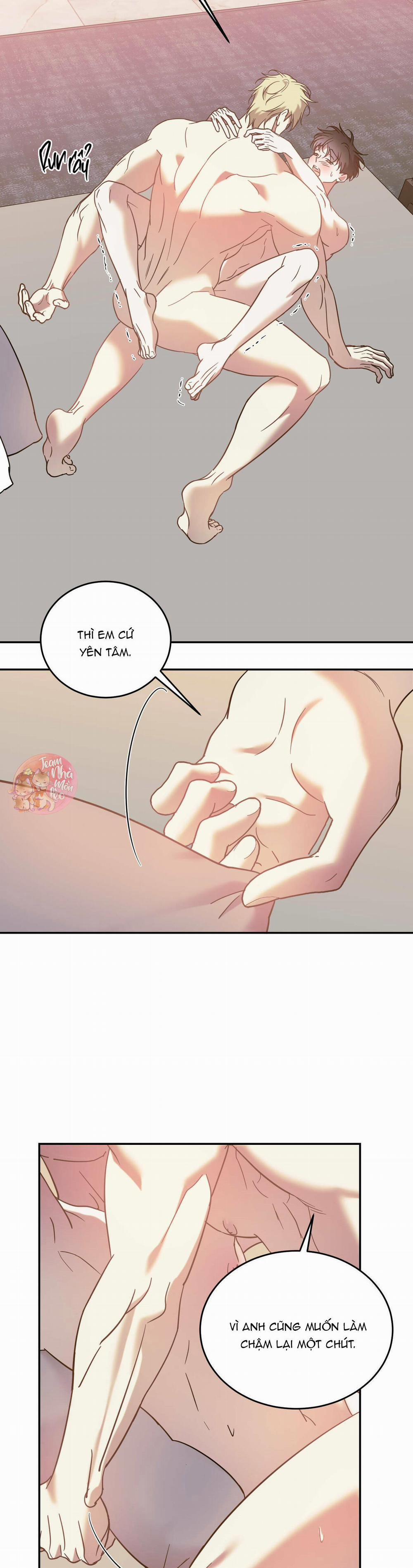 Cấp Trên 42 trang 7