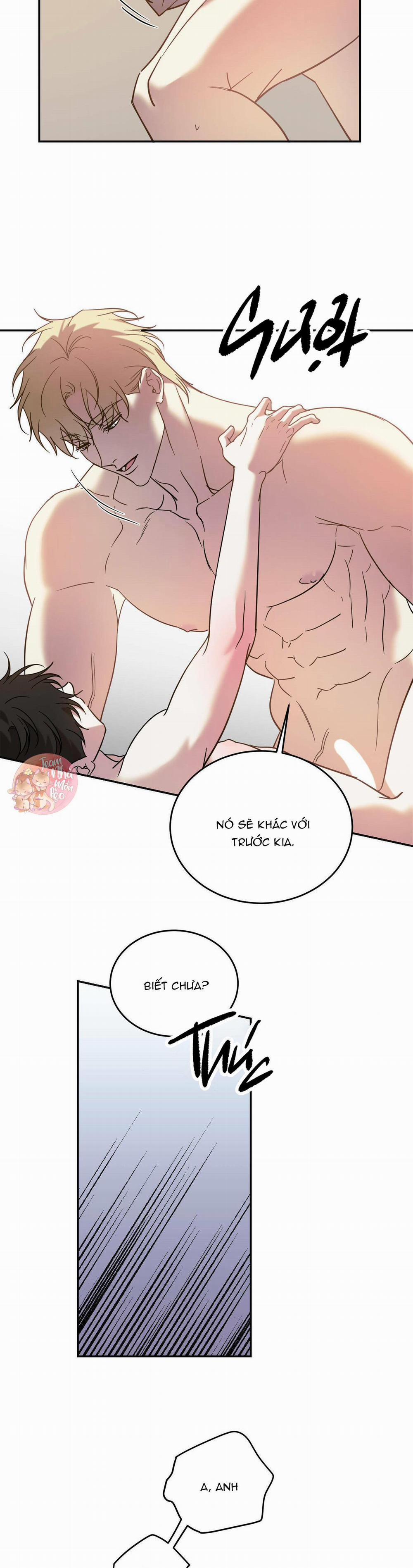 Cấp Trên 42 trang 8