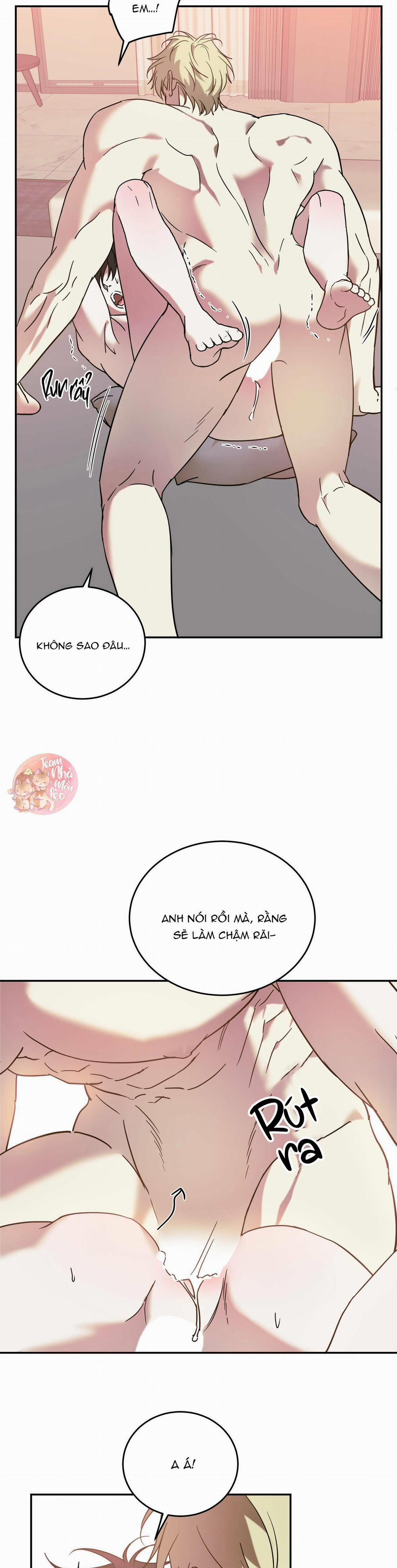 Cấp Trên 42 trang 9