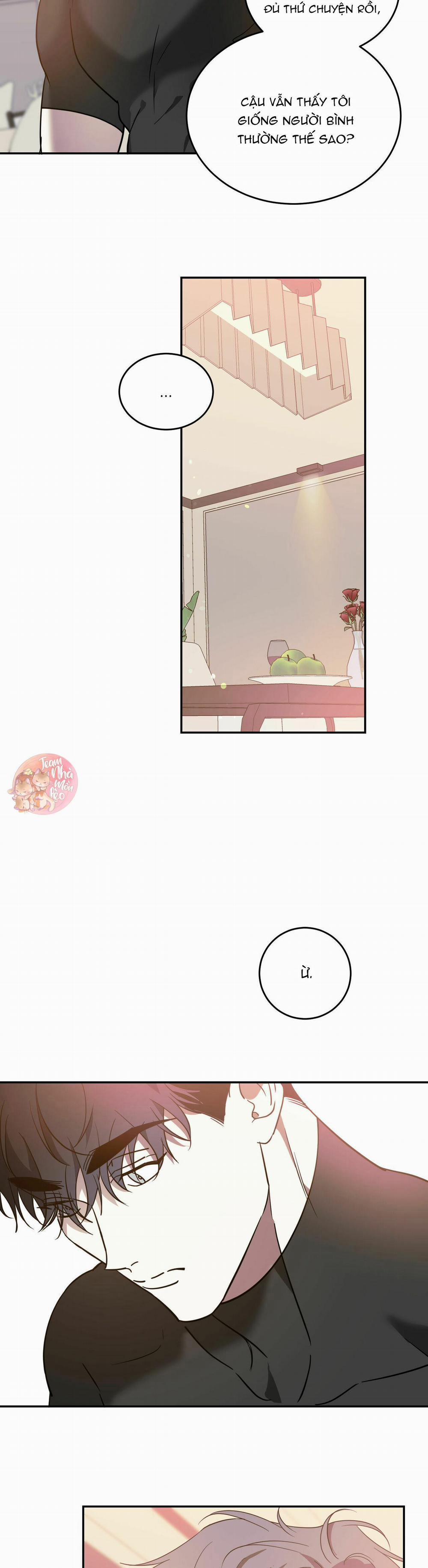 Cấp Trên 43 trang 11