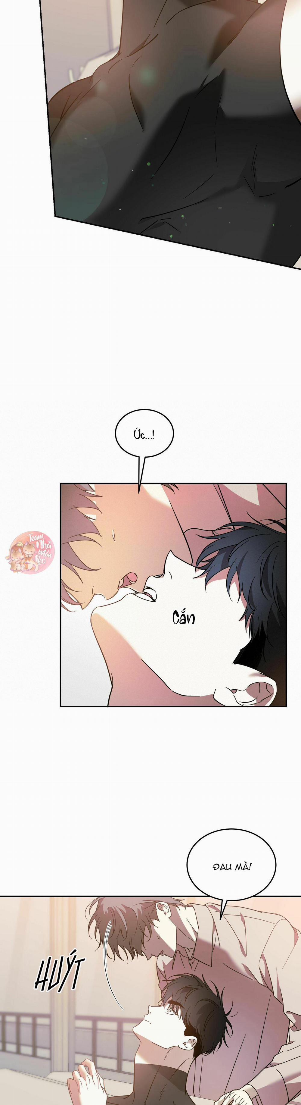 Cấp Trên 43 trang 14