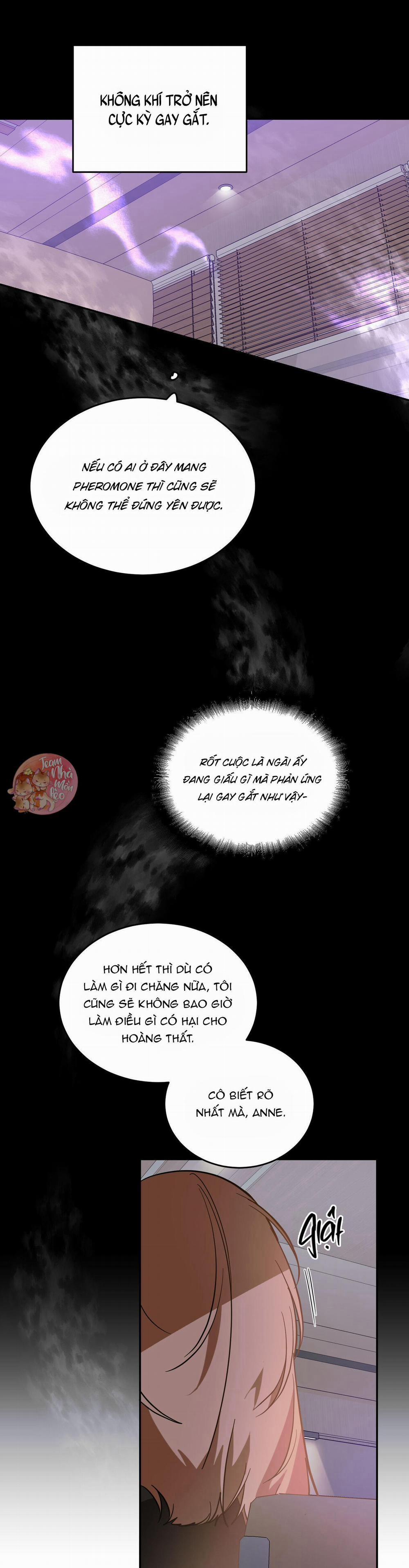 Cấp Trên 44 trang 13