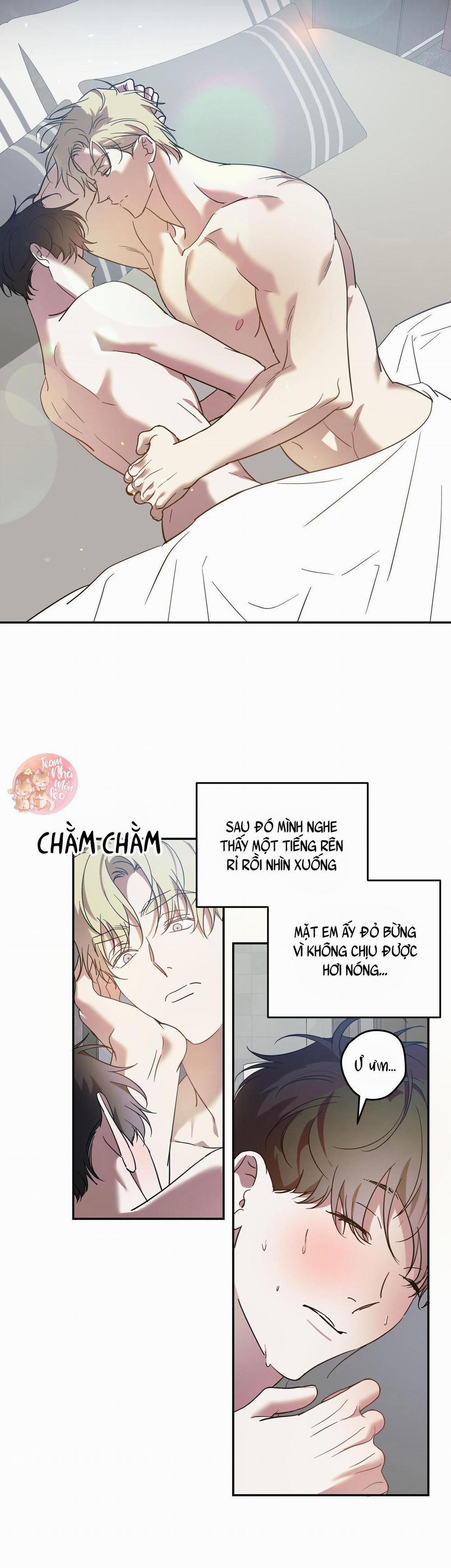 Cấp Trên 44 trang 4