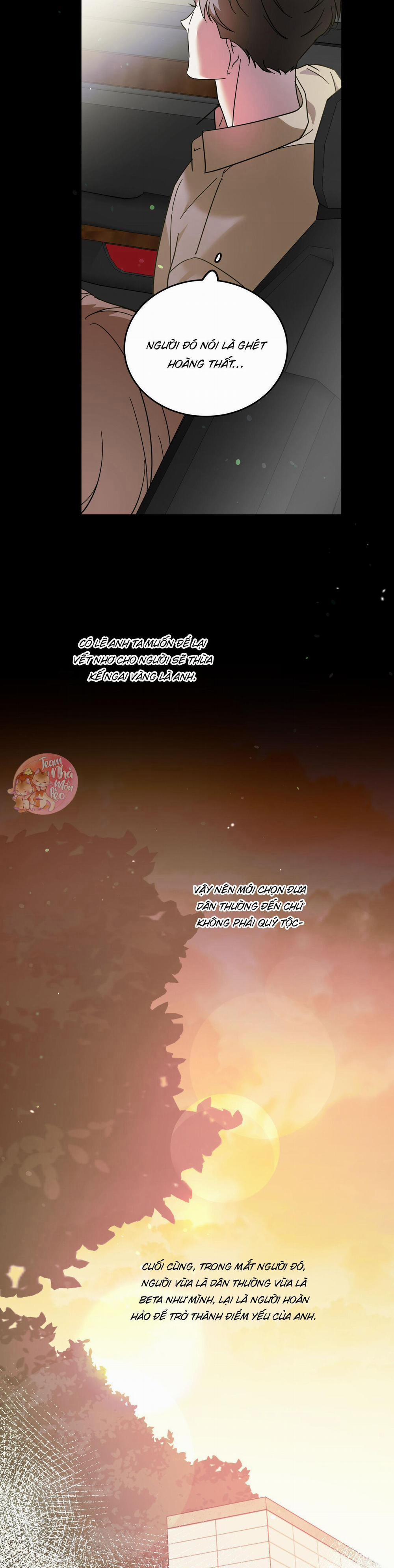 Cấp Trên 45 trang 13