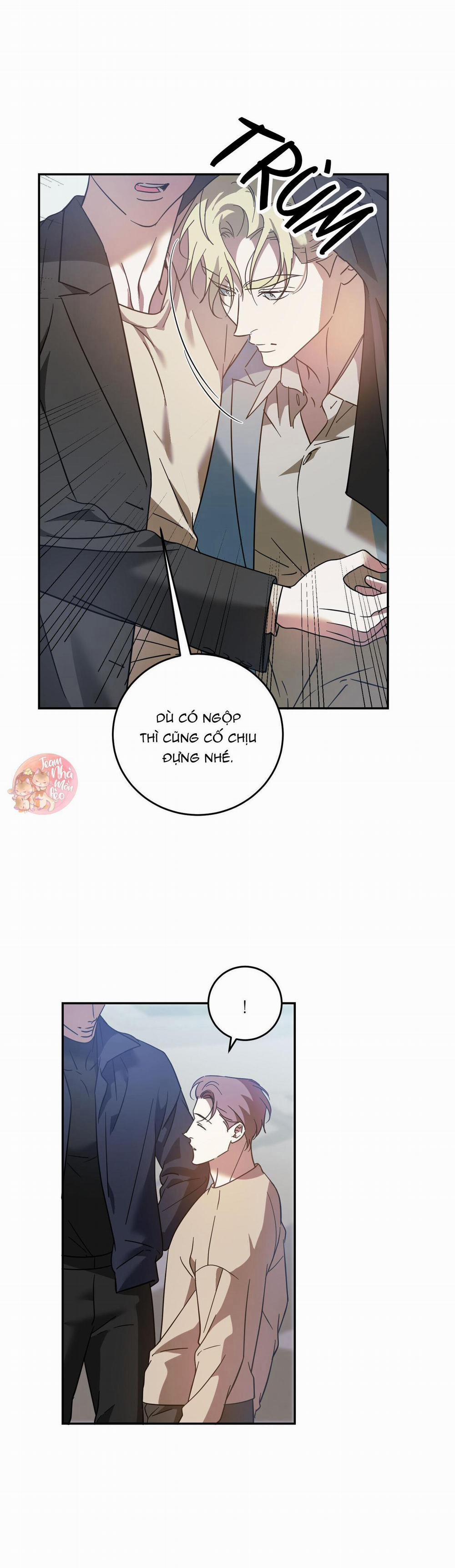 Cấp Trên 46 trang 14