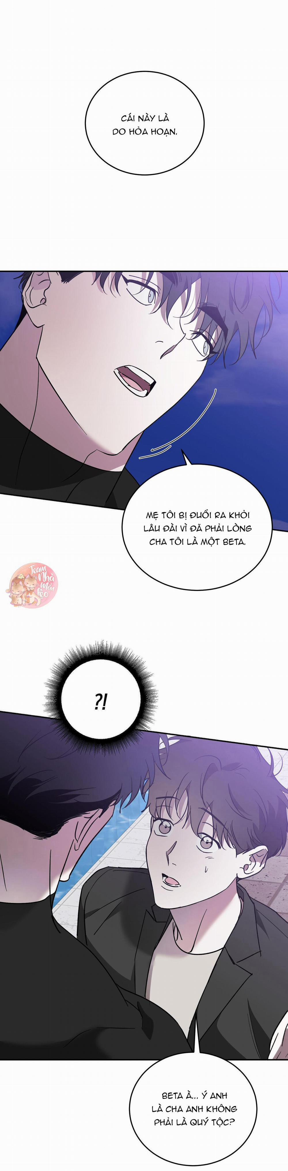 Cấp Trên 47 trang 17