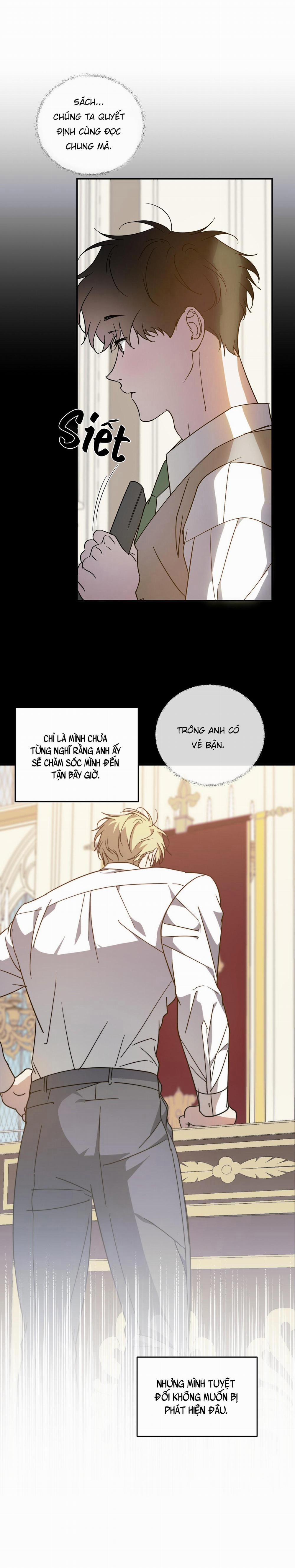 Cấp Trên 49 trang 3