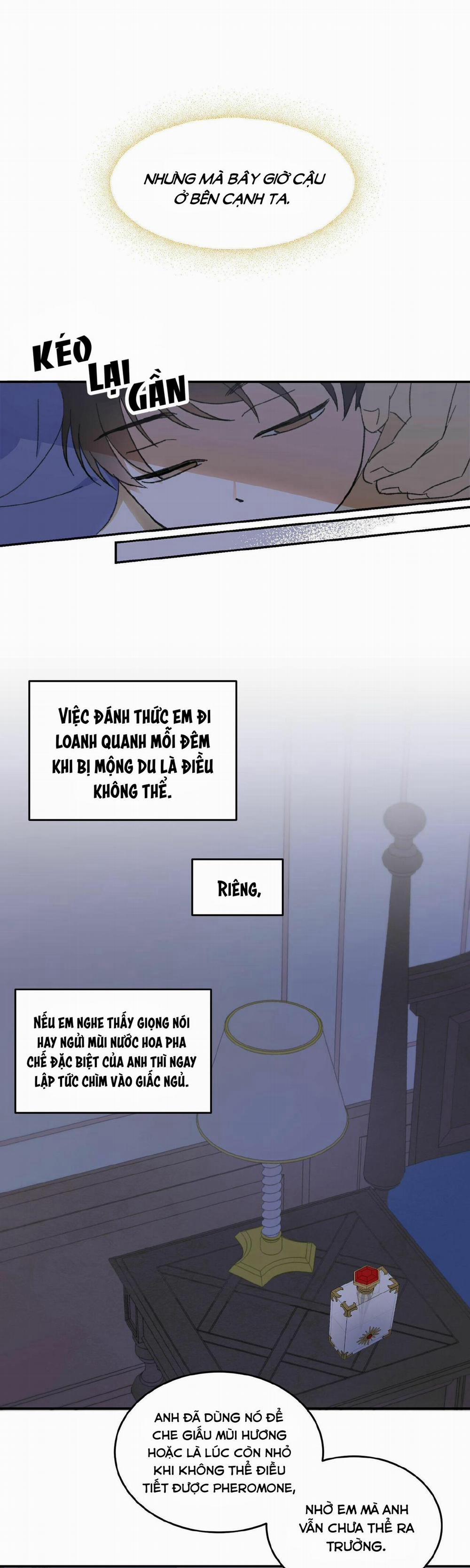 Cấp Trên 5 trang 4