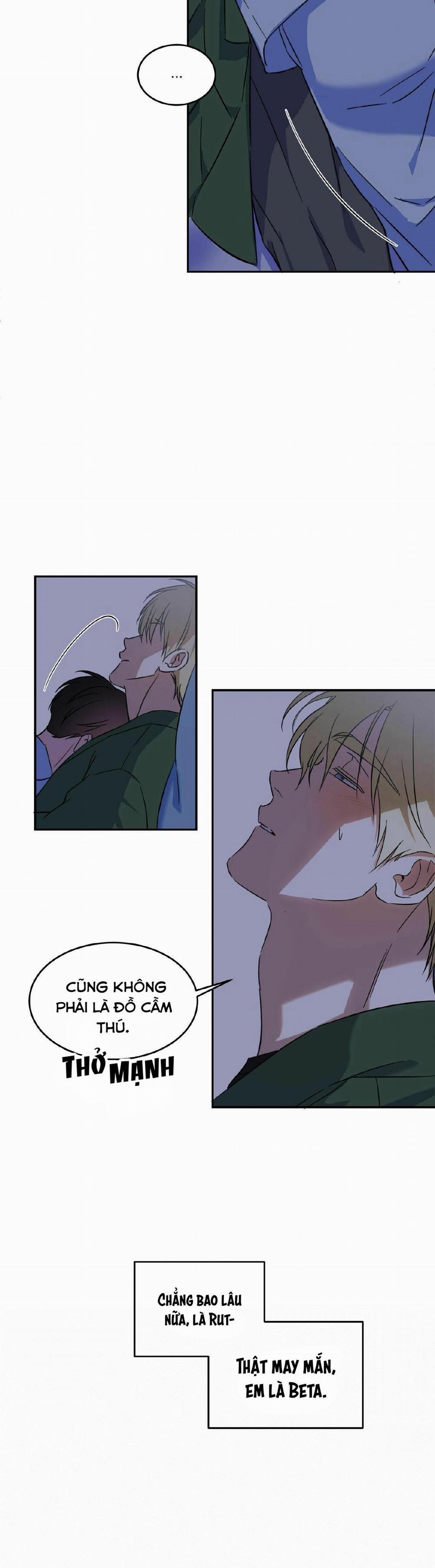 Cấp Trên 5 trang 7