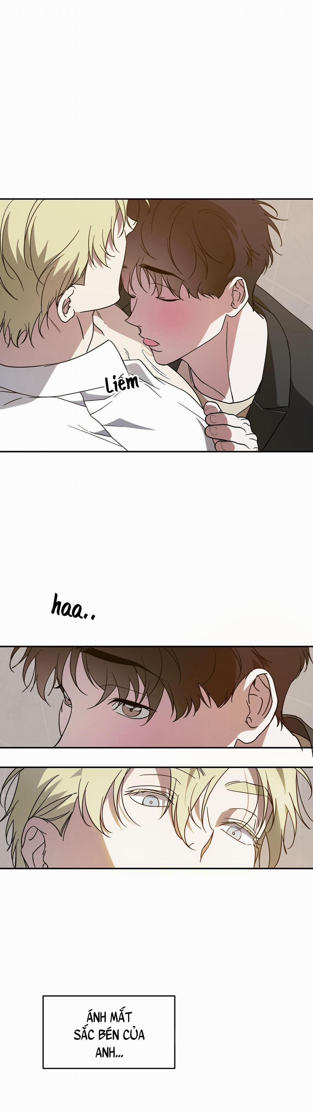 Cấp Trên 50 trang 10