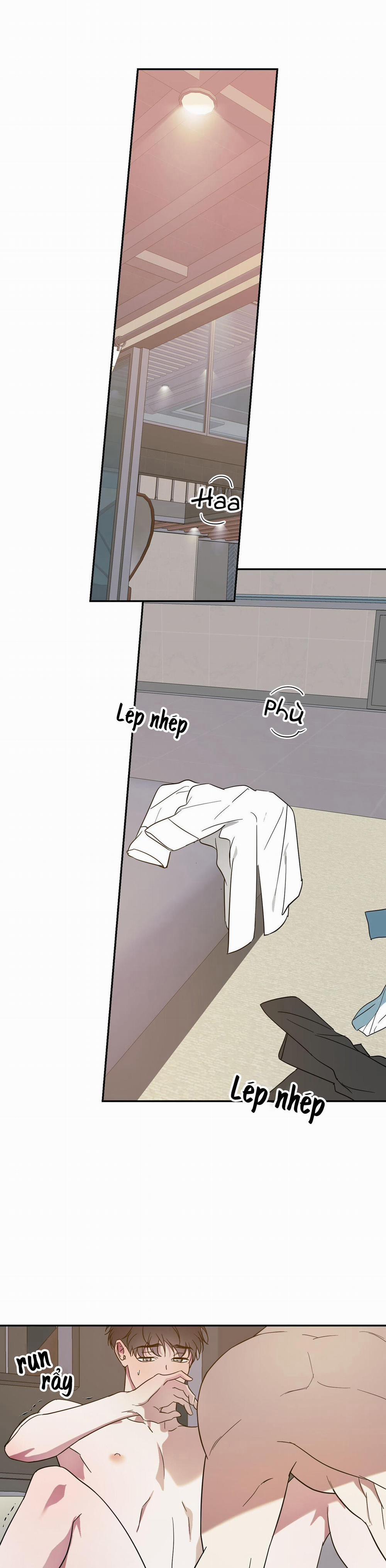 Cấp Trên 50 trang 24