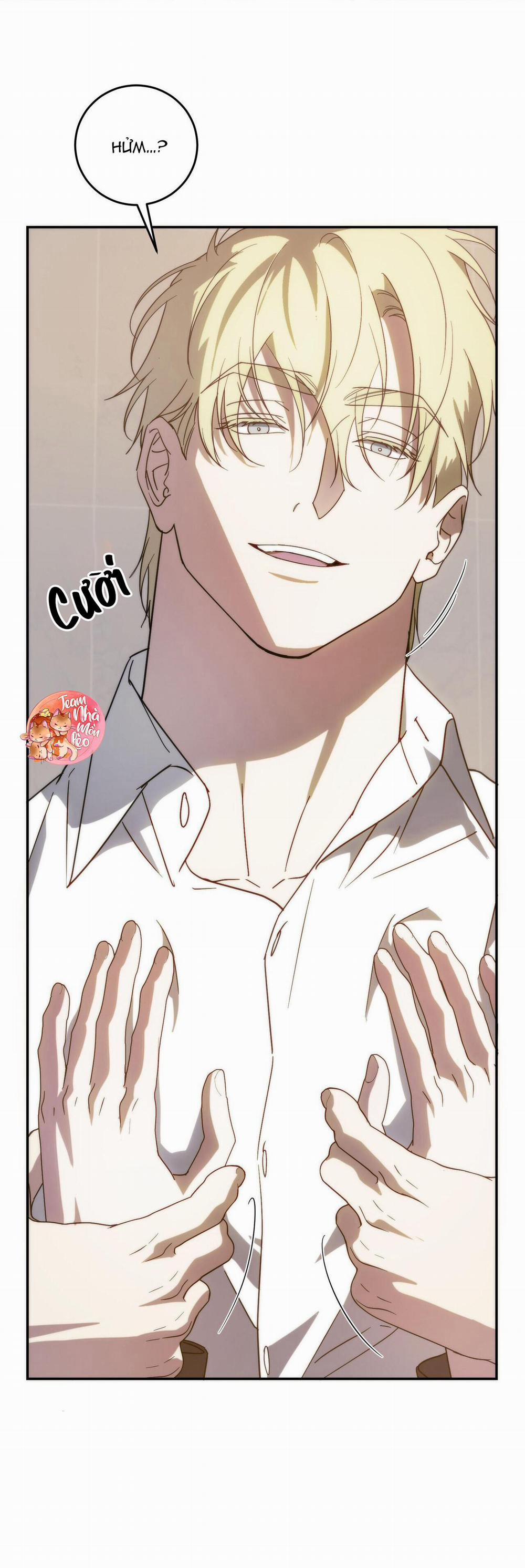 Cấp Trên 50 trang 5