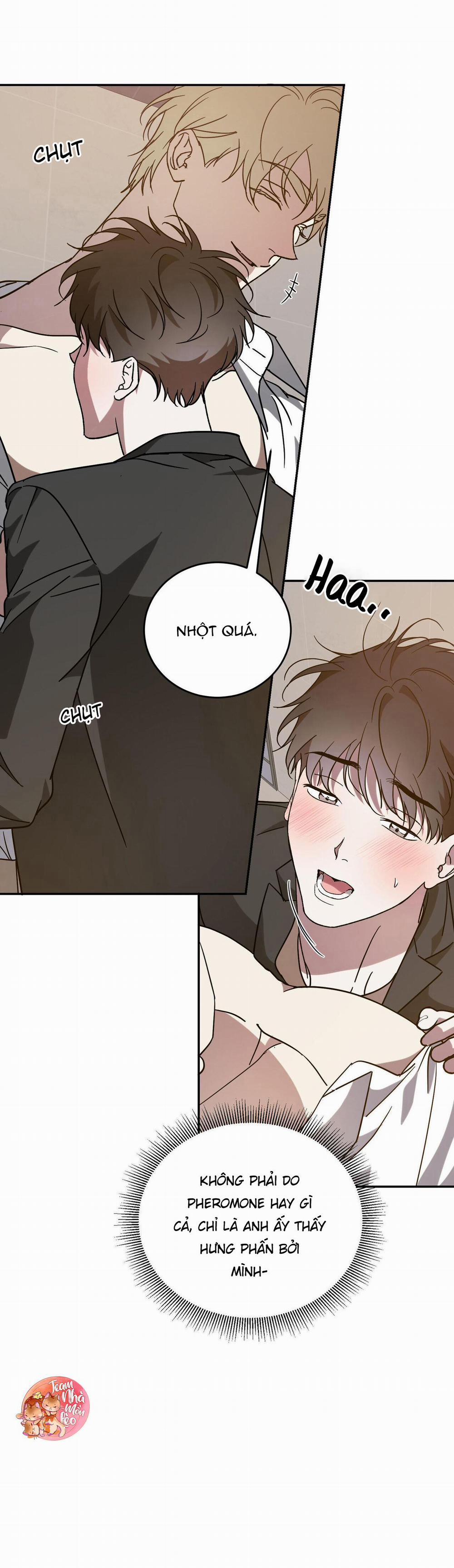 Cấp Trên 50 trang 8