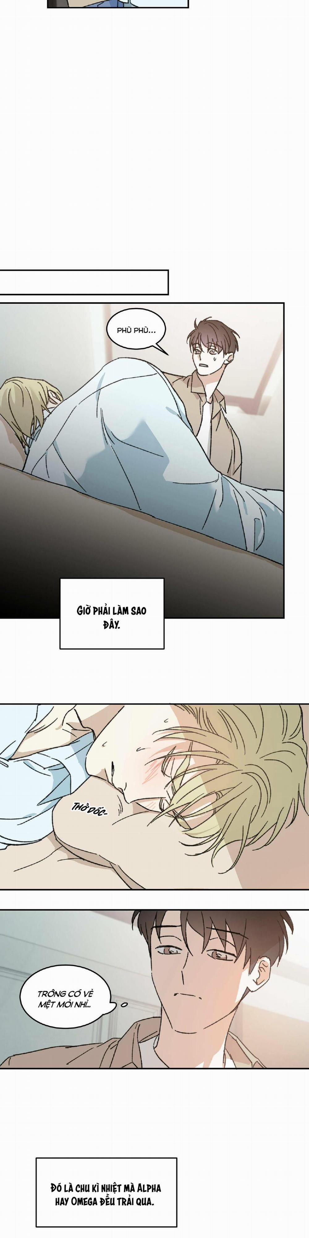 Cấp Trên 7 trang 15