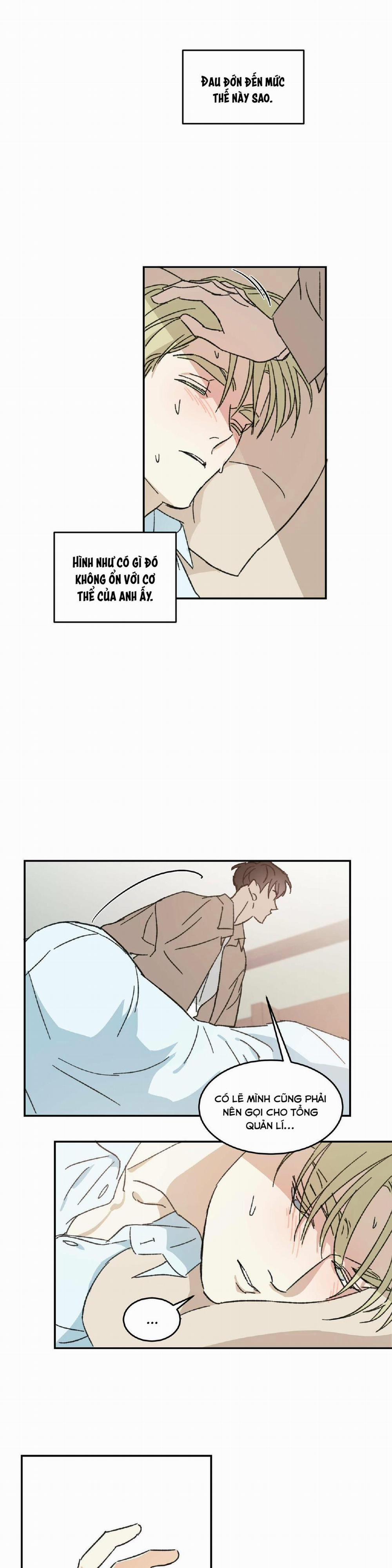 Cấp Trên 7 trang 16