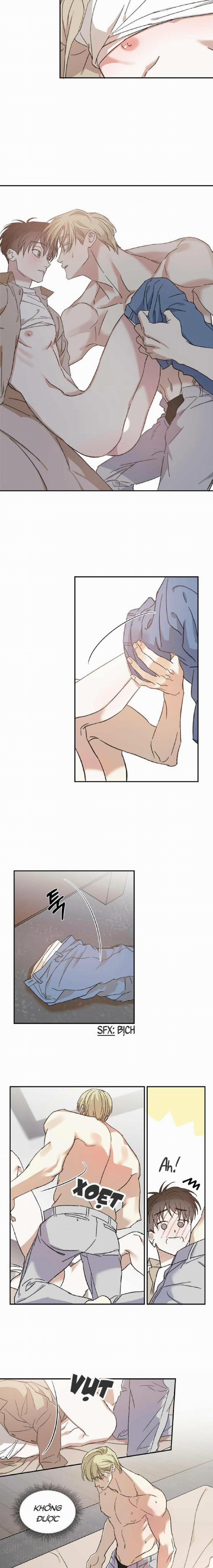 Cấp Trên 8 trang 4