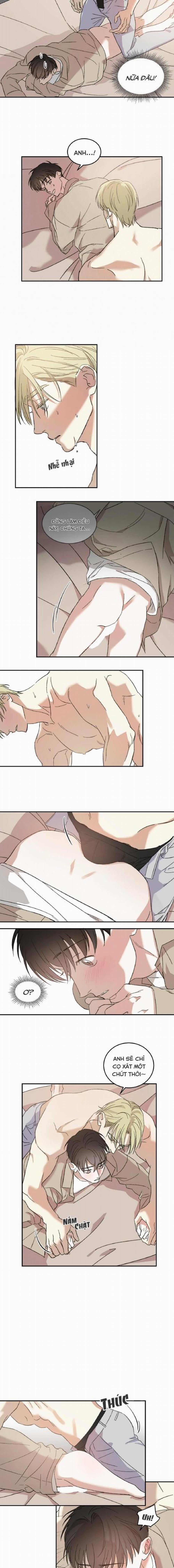 Cấp Trên 8 trang 5