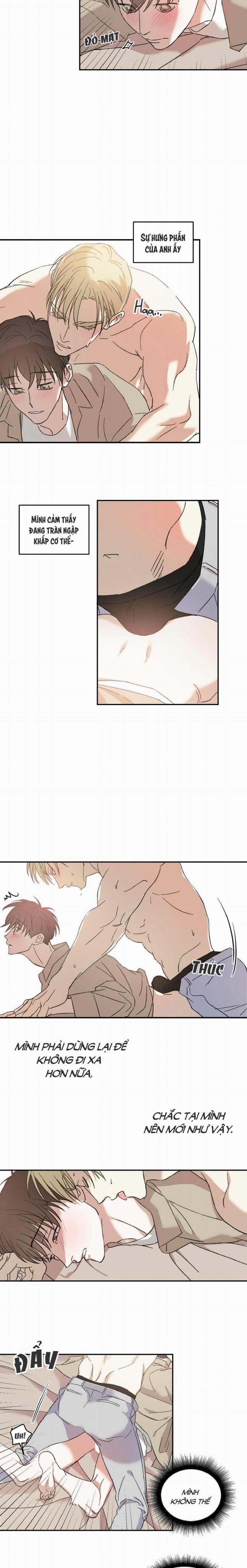 Cấp Trên 8 trang 6