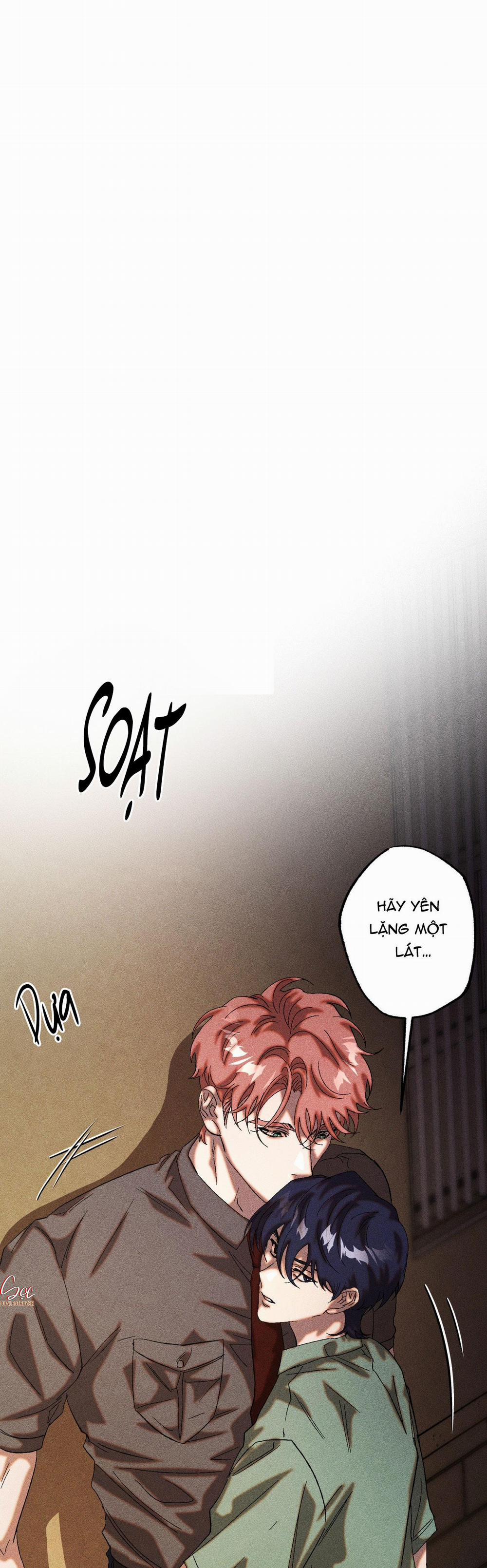 Cash Or Credit 26 trang 0