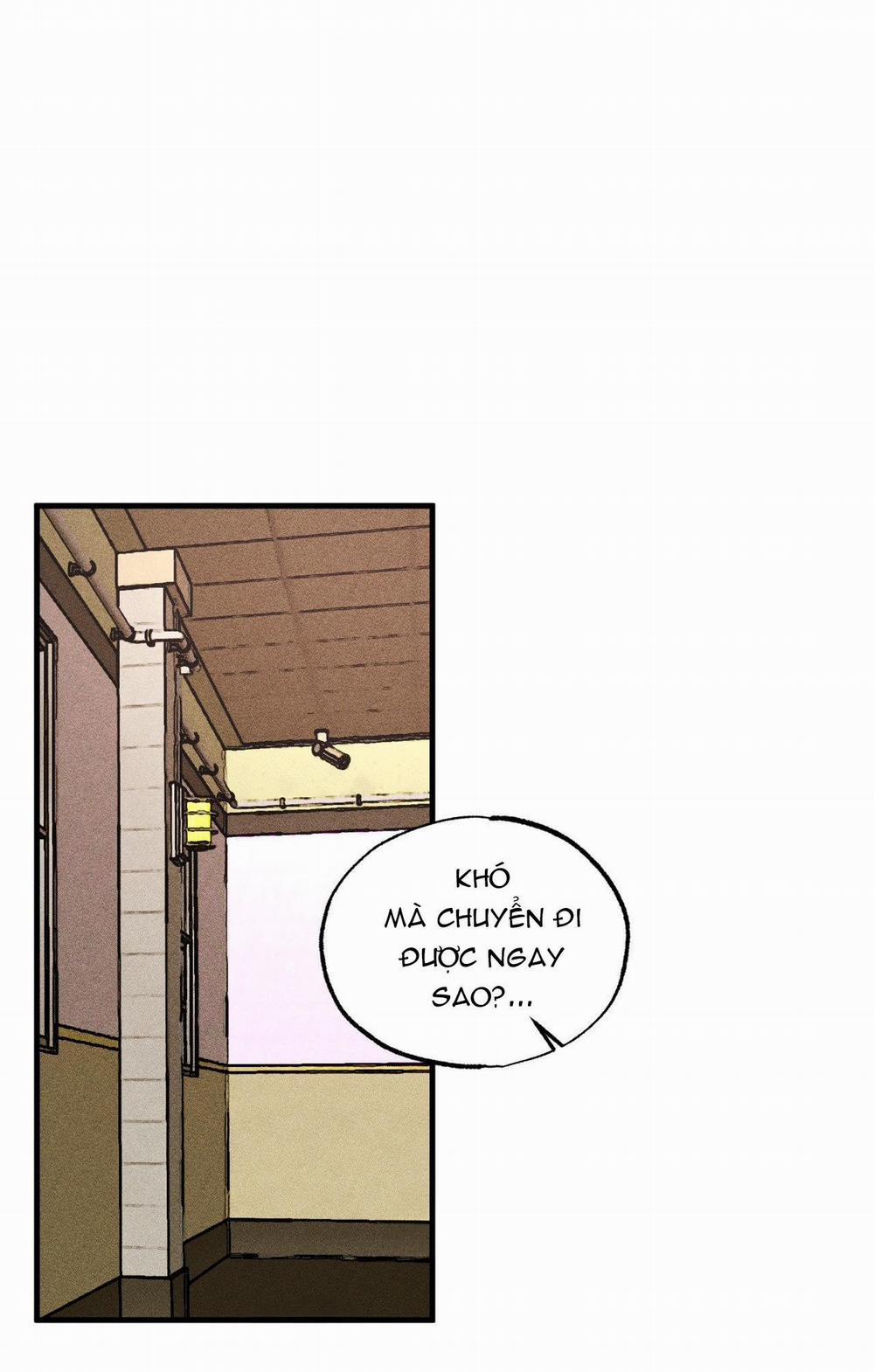 Cash Or Credit 27 trang 13