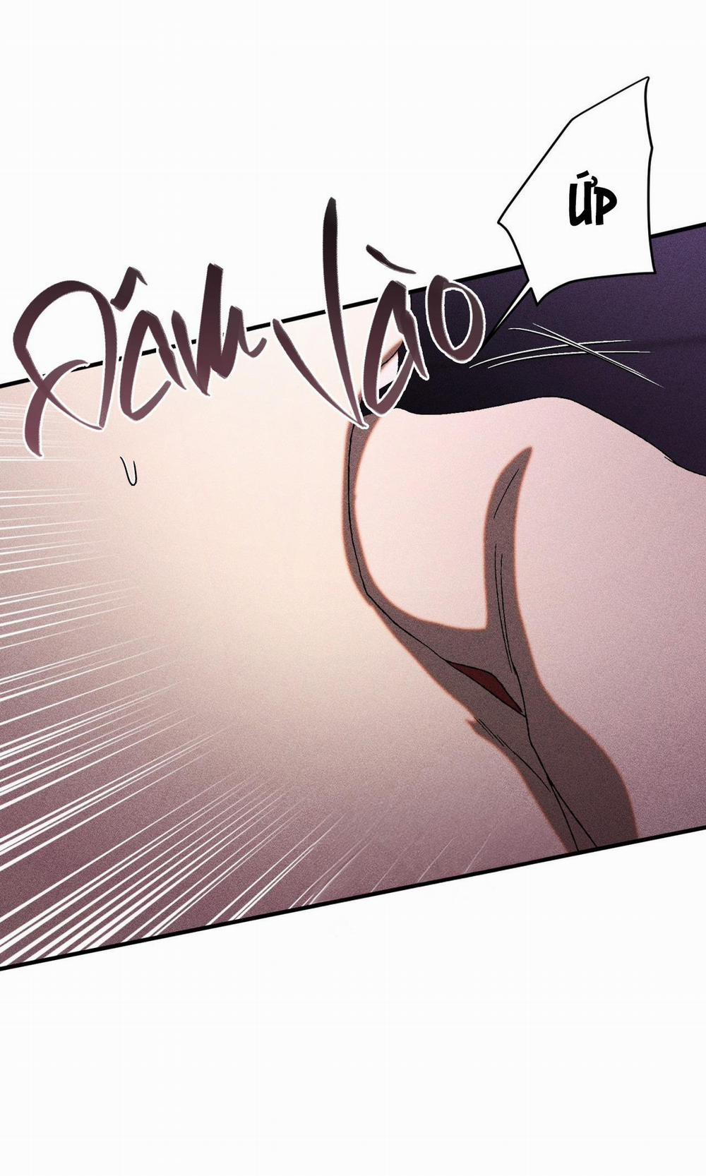 Cash Or Credit 28 trang 11