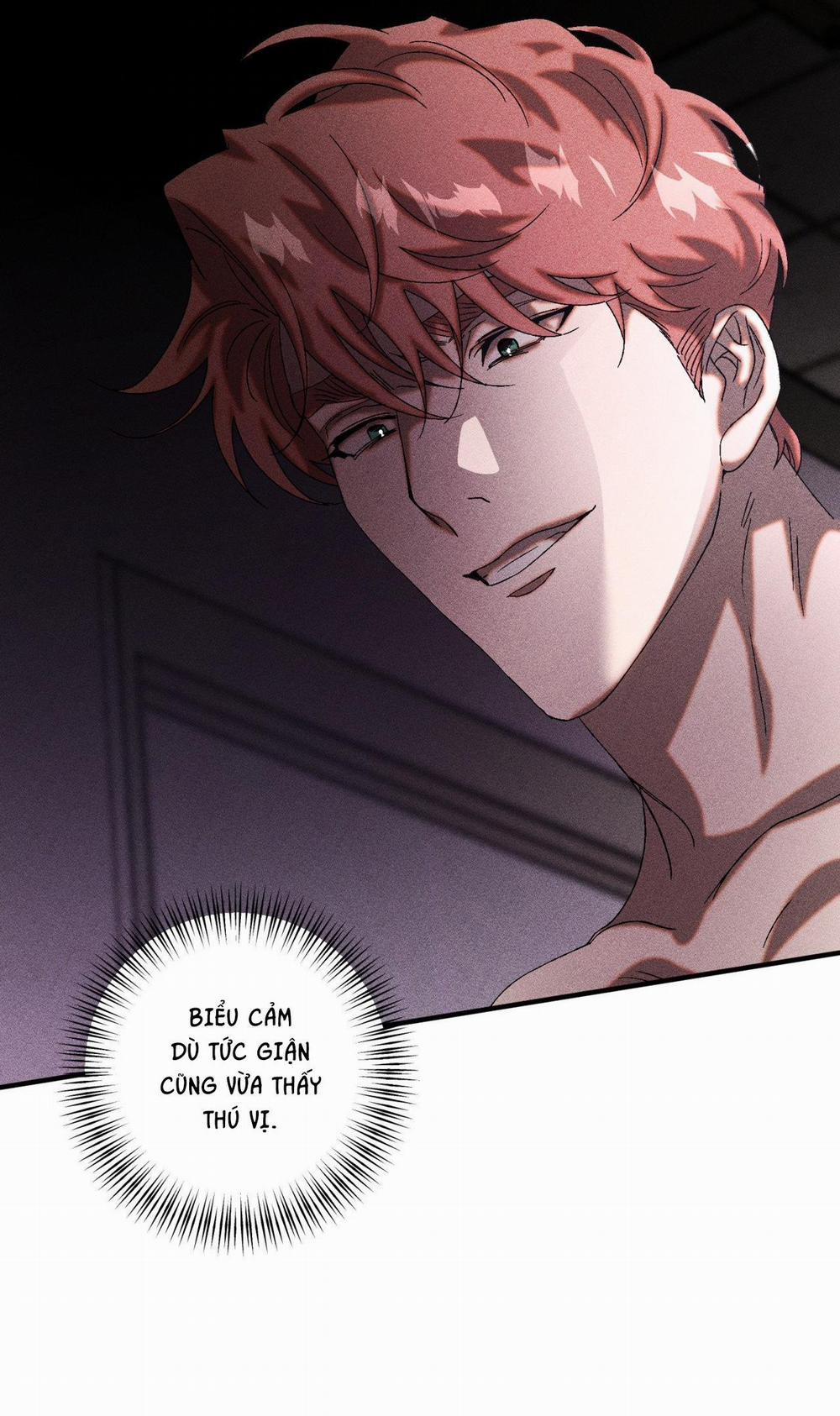 Cash Or Credit 28 trang 42