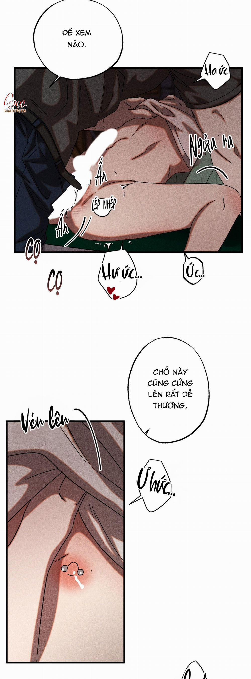 Cash Or Credit 38 trang 5