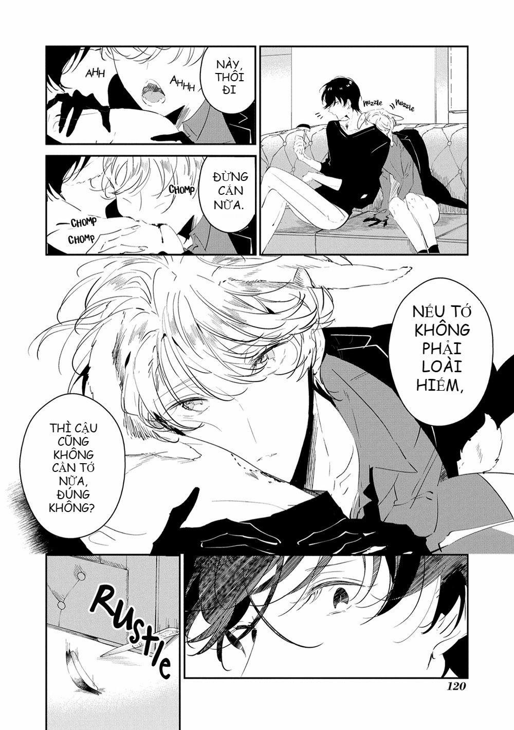 Castehate 10 trang 14
