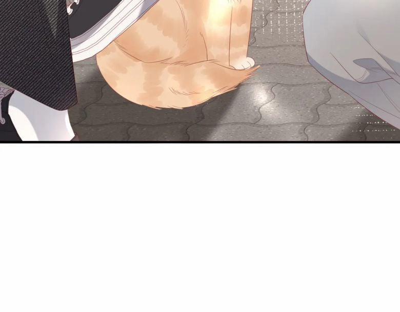 Cất Giấu 15 trang 6