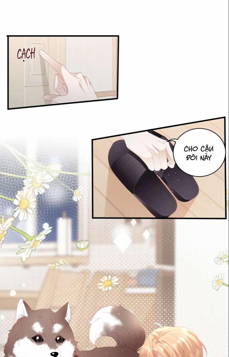 Cất Giấu 17 trang 15