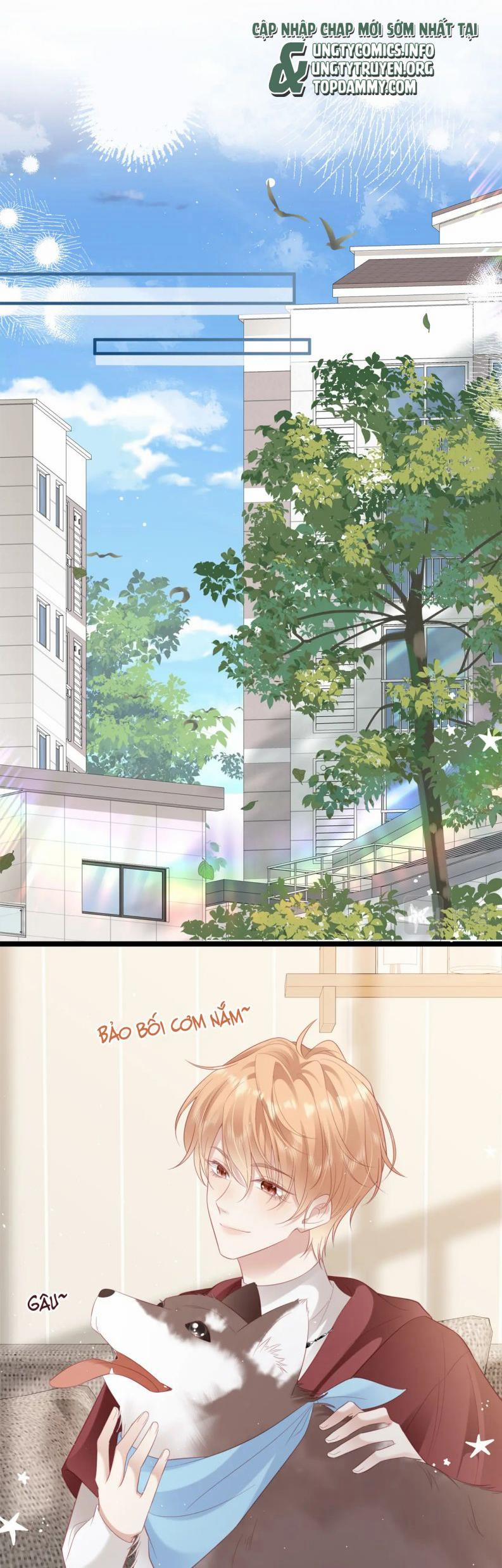 Cất Giấu 19 trang 0